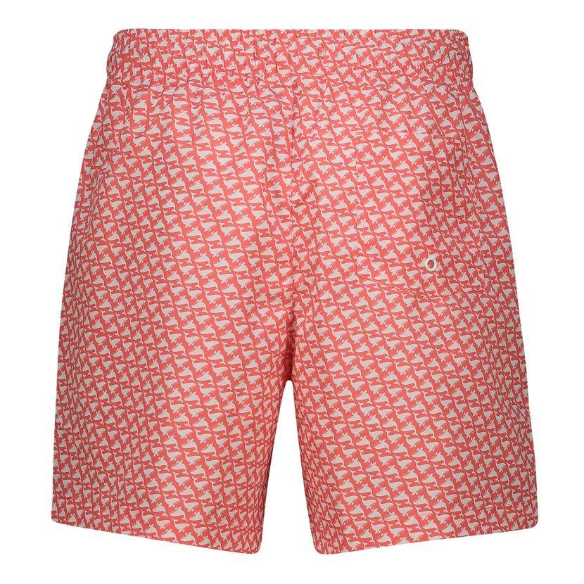 Printed Swim Shorts – Stylish and Comfortable | - Mrchlabel